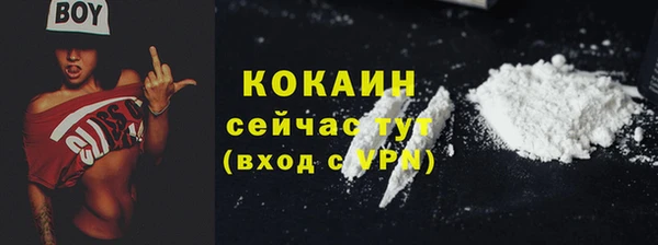 прущие грибы Богородск
