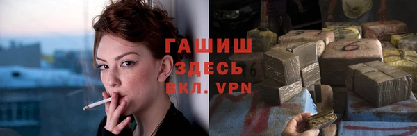 прущие грибы Богородск